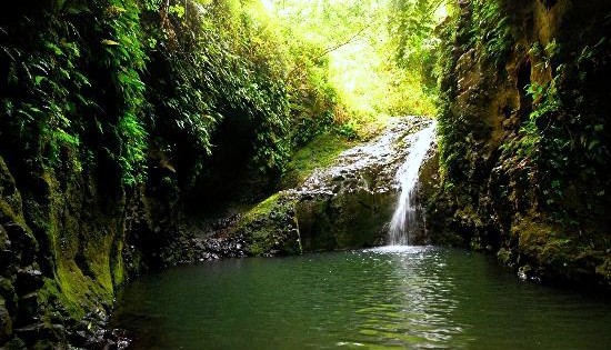 Stunning view of Hawaii Maunawili Falls surrounded by lush greenery.