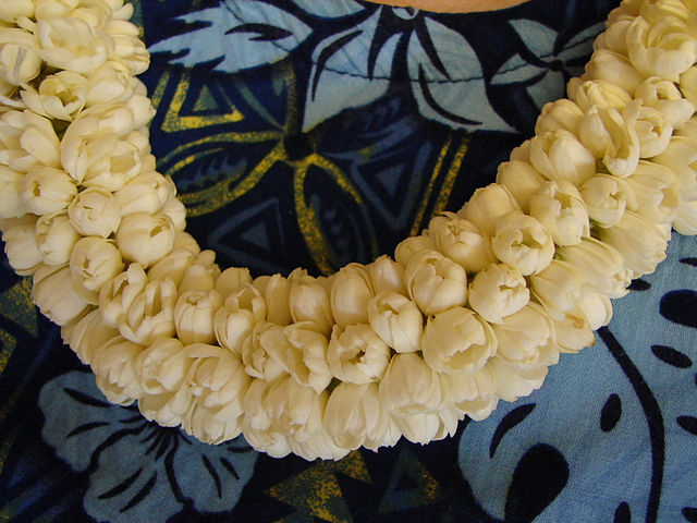 hawaiian flower necklace